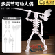 OSKV骷髏可動(dòng)人偶小人迷你模型關(guān)節型兒童diy動(dòng)作整蠱搞笑掛件禮物 可動(dòng)骷髏人偶+武器