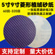 犀利紫色菱形植絨砂紙5/9寸背絨圓盤(pán)砂墻面膩子打磨自粘拋光（100片） 9寸320目20片