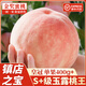 山姆伯伯金秋水蜜桃【JD順豐-閃送】紅蜜水蜜桃新鮮桃子水果禮盒物品 桃王 | 玉露級 8枚裝 單果7-8兩+ 【自吃推薦-鎖鮮裝】顆顆精品