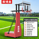 賽博奧籃球架可移動(dòng)戶(hù)外成人家用室內兒童室外標準專(zhuān)業(yè)籃框升降架 平箱移動(dòng)式/基礎版（籃板180*105cm）