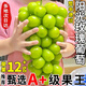 JDBMO葡萄陽(yáng)光玫瑰葡萄云南晴王香印無(wú)籽提子新鮮孕婦水果禮盒 彩箱禮盒單粒8-10g凈重4-5斤
