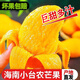 正宗海南小臺芒9斤新鮮現摘甜心芒現貨包郵 【5斤中果】?jì)糁?.5斤（單果70-90g）