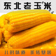 可局東北老玉米棒黃笨玉米有嚼勁老式代餐新鮮非即食真空包裝 10根優(yōu)質(zhì)品質(zhì)黃大棒【超劃算】