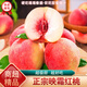 桃西村山東金秋紅蜜桃 映霜紅桃大桃子水蜜桃子冬桃硬毛桃子新鮮水果 3斤精選中果