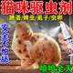 貓狗身上癢幼貓咪驅(qū)蟲(chóng)藥體內(nèi)外一體跳蚤虱子螨蟲(chóng)除蟲(chóng)滅蟲(chóng)專用噴劑 1瓶【貓咪除跳蚤】