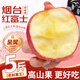 京興果正宗山東煙臺棲霞紅富士蘋果新鮮水果脆甜當(dāng)季中秋蘋果禮盒特級果 【5斤中果超值裝】吃貨必囤