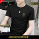 JASONWOOD高端品牌男裝短袖t恤男士夏季冰絲莫代爾圓領(lǐng)休閑速干體恤上衣服 高檔黑色【現貨速達】 2XL 【建議150-165斤左右】
