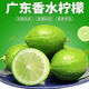 甄仙緣廣東香水檸檬 當季檸檬水果 無(wú)籽鮮果 飲品店專(zhuān)用 20顆【單果60g+】