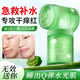 BEAUTY NOTES積雪草睡眠面膜泥補水保濕修護痘印收斂毛孔免洗涂抹式100g