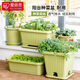 愛(ài)麗思（IRIS）陽(yáng)臺種菜盆家庭長(cháng)方形蔬菜種植盆大號長(cháng)條盆家用大花盆種菜專(zhuān)用箱 綠色730 容量40L 盆托套裝（1套）