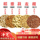五谷凈宅五谷喬遷帶殼糧食搬家凈宅用品五谷雜糧凈宅開(kāi)業(yè)結婚擺件 五谷糧各60g*5包共300g+1個(gè)福袋