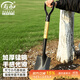 壽禾 鐵鍬平頭車(chē)載家庭園藝菜園挖土鏟雪工具 方頭園藝木把小鐵鍬1把