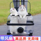 寵天使貓包外出便攜寵物拉桿箱貓咪太空艙寵物推車(chē)狗狗透明大容量貓書(shū)包 k35透明帶風(fēng)扇-貓25斤狗15斤
