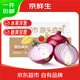 京鮮生 河南紫皮水果洋蔥 凈重9斤 單果200g+ 新鮮蔬菜源頭直發(fā)