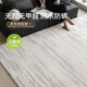 賽波斯正版月光寶石防水無(wú)膠地毯高級感輕奢風(fēng)客廳茶幾墊防貓抓2.4X3.5M