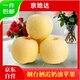 京地達山東煙臺棲霞奶油蘋(píng)果 凈重4.5斤 單果約230g煙臺蘋(píng)果源頭直發(fā)