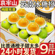 芫曦【現貨】云南哀牢山冰糖橙柑橘臍橙新鮮水果應當季送禮品物盒 5斤 單果65-75mm 凈重4.5斤