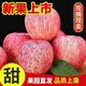 【頭茬-爆甜】正宗現摘收到紅星紅富士蘋(píng)果 新鮮時(shí)令蘋(píng)果整箱 單果75-80mm 4.5斤帶箱(凈重4斤)