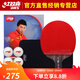 紅雙喜乒乓球拍五星級碳素底板5星狂飆王專(zhuān)業(yè)級狂飆3單拍兵乓球拍 R5006C碳素直拍一只+6球+拍套
