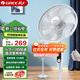 格力（GREE）落地扇16寸12檔風(fēng)速新一級能效七葉直流變頻電機遙控電風(fēng)扇落地扇低噪風(fēng)大輕音廣角送風(fēng)網(wǎng)罩可拆洗 順豐速發(fā)-FDZ-40X65Bg7-淡雅藍