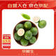 京鮮生 海南大青檸/青檸檬 8粒 單果約70-100g  生鮮水果
