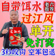 過(guò)江風(fēng)餌料正品濃腥餌料黑坑野釣四季通用釣鯽魚(yú)鯉魚(yú)過(guò)江風(fēng)魚(yú)餌 1袋【連桿不斷】