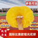 運動(dòng)會(huì )啦啦花球手拿花比賽啦啦操手花手搖彩球拉拉隊手花舞蹈道具 啞光新款比賽款中號（5寸）黃色 (兩個(gè)的價(jià)格）