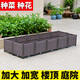 田田綠陽(yáng)臺菜園種菜盆特大種植箱樓頂天臺種菜花盆塑料花箱大號花盆專(zhuān)用 深14聯(lián)長(cháng)280寬80高37