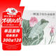 一顆蓮子的生命旅程 原創(chuàng  )植物科普繪本，以國畫(huà)繪出蓮的生命輪回 國風(fēng)情懷 中國傳統 自然之美 5-10歲浪花朵朵暑假作業(yè) 一升二暑假銜接 小升初暑假銜接