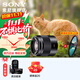 索尼（SONY） E50mm F1.8 OSS  APS-C畫(huà)幅 定焦  50F1.8半畫(huà)幅定焦鏡頭 街拍  特寫(xiě)人像 黑色E50F1.8+尼克斯49UV
