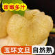 冠福記正宗玉環(huán)文旦柚子新鮮無(wú)蝦線(xiàn)柚子當季水果白心蜜柚老樹(shù)蜜柚 2粒精選裝