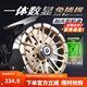 哈斯達(dá)（HISTAR）泰坦數(shù)顯筏輪磁力緩降橋釣筏竿海釣輪自動(dòng)排線全金屬魚(yú)線輪筏釣輪 自動(dòng)排線緩降數(shù)顯筏輪 右手搖輪右手輪
