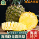 南步海南巨無(wú)霸鳳梨 特大果西瓜鳳梨菠蘿金鉆芒果鳳梨新鮮熱帶水果 帶箱2斤 精選中果【單果1.5斤+】