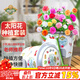 德沃多肥料太陽(yáng)花種子DIY兒童趣味種植盆栽套裝學(xué)生植物觀(guān)察幼兒園迷你盆栽