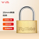 飛球（Fly.Globe）黃銅掛鎖迷你行李箱包儲物柜冰柜門(mén)宿舍柜子小鎖具鑰匙實(shí)心機械鎖 FQ-B*25MM