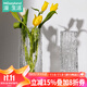 漫生活玻璃花瓶插花水養透明插花瓶百搭冰川紋水養輕奢水培植物擺件24cm
