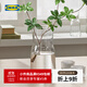宜家（IKEA）TIDVATTEN提瓦頓小清新透明玻璃花瓶裝飾桌面擺件瓶子 花瓶透明玻璃30cm