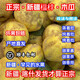 果益壽新疆榅桲鵝梨帳中香甄嬛傳榅孛quince香料ayva木瓜喀什產(chǎn)抓飯鮮果 5斤 中果【 新疆喀什直發(fā)】