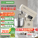 大宇（DAEWOO）家用大白象廚師機CSJ06 商用大容量輕音和面揉面壓面一體機 全自動(dòng)多功能電動(dòng)打蛋器料理機 7L