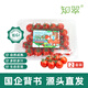 京鮮生＆知翠 串串櫻桃小番茄450g*2盒 生吃小西紅柿 新鮮水果 源頭直發(fā)