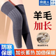 南極人護膝保暖關(guān)節炎男女款發(fā)熱加絨老寒腿中老年人防寒保暖護膝蓋護具 精選羊毛護膝丨加長(cháng)款 均碼丨80-180斤通用丨兩只裝