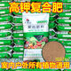 高鉀復合肥瓜果蔬菜果樹(shù)通用型硫酸鉀肥料化肥噴施滴灌水溶葉面肥 高鉀復合肥10斤