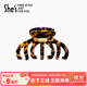 She's茜子輕簡(jiǎn)復古醋酸板材抓夾玳瑁色鯊魚(yú)夾時(shí)尚發(fā)飾生日禮物送女友