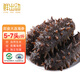 鮮出動(dòng)大連即食海參刺參深海遼刺參海參干貨5-7頭 凈重500g
