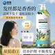 愛(ài)敬（AEKYUNG）科娜洗發(fā)水洗頭膏韓國洗發(fā)露女士呵護滋養留香柔順修護發(fā)蓬松清潔 適合敏感發(fā)質(zhì)-清純魅惑護發(fā)素
