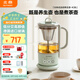 北鼎（Buydeem）【無(wú)膠水】養生壺燒水壺多功能煮茶器迷你養生杯辦公室熱水壺 K36淺杉綠+迷你萃取籃 教師節禮物