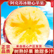 京地達蘋(píng)果新疆阿克蘇冰糖心蘋(píng)果紅富士 凈重9斤單果220g源頭直發(fā)包郵