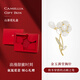 Jay木槿花胸針女大衣胸花設計感領(lǐng)針配飾送媽媽婆婆長(cháng)輩生日禮物 【山茶花禮盒】白貝（商家倉發(fā)貨）