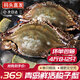 【活蟹發(fā)貨】青島梭子蟹鮮活特大野生大螃蟹螃蟹新鮮海蟹飛蟹禮盒 鮮活超大梭子蟹4斤【8-12只】