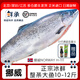鮮承 三文魚(yú)刺身進(jìn)口整條生鮮挪威冰鮮三文魚(yú)肉(大西洋鮭)0度保鮮 冰鮮整條凈重 5kg -6kg分切請留言